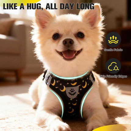 EXPAWLORER Small Dog Harness and Leash Set - Cute Puppy Harness Leash Dog Collar with AirTag Holder Silicone Case, Soft Padded Step in Pet Vest Reflective for Outdoor Walking, Star-Moon S