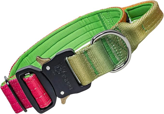 TSPRO Premium Dog Collars Tactical Dog Collar with Handle and Heavy Duty Quick-Release Metal Buckle Durable Thick and Adjustable for Medium to Large Dogs (Vitality Gradient M)