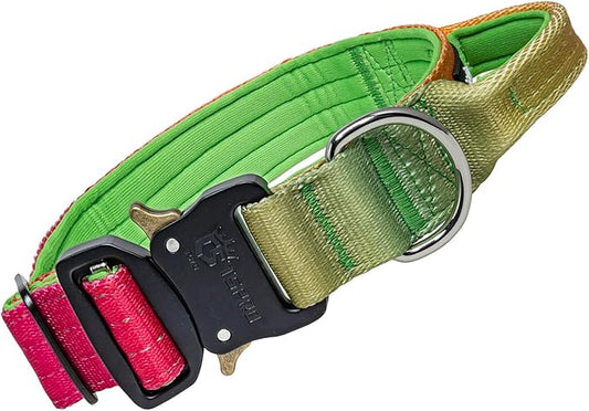 TSPRO Premium Dog Collars Tactical Dog Collar with Handle and Heavy Duty Quick-Release Metal Buckle Durable Thick and Adjustable for Medium to Large Dogs (Vitality Gradient M)