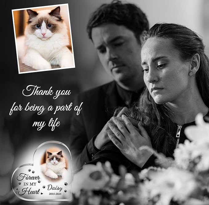 Cat Memorial Gifts for Loss of Cat Custom Pet Memorial Acrylic Plaque Pet Loss Gifts Pet Memorial Gifts for Dogs Cats Dog Remembrance Bereavement Gift Dog Death Sympathy Gift in Memory of Dog Keepsake