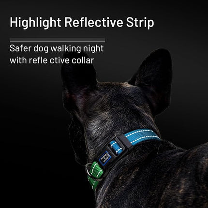 Roses&Poetry Small Dog Collar, Adjustable Personalized Durable Pet Collars for Small Medium Large Dogs (Bluegreen-S)