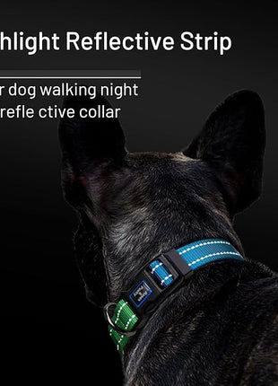 Roses&Poetry Large Dog Collar, Adjustable Reflective Durable Pet Collars for Small Medium Large Dogs (Bluegreen-L)