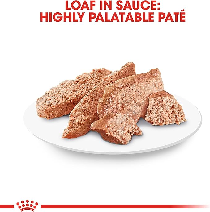 Royal Canin Poodle Adult Breed Specific Wet Dog Food, 3 oz can 4-pack