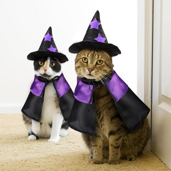 2 Sets Halloween Pet Costume Cats Witch Shaped Cloak and Hat Witch Cloak for Small Large Pets Gifts Party Favor(Large)