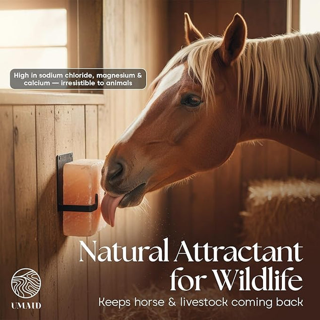 UMAID Himalayan Salt Block – 8x4x2 2-Pack – 100% Natural Mineral Salt Lick for Horses, Cows, Goats & Sheep – Animal Feed Supplement, Long-Lasting Salt Chunks