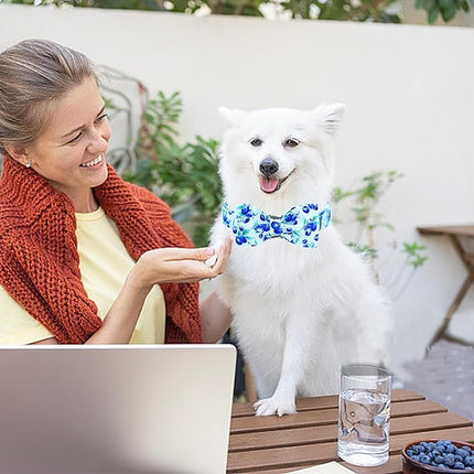 Lionheart glory Dog Bow Collar Blueberries Print Collars for X-Small Dogs, Spring Summer Cute Duty Adjustable Dog Collar with Bowtie Puppy Collars Bows Pet Gift