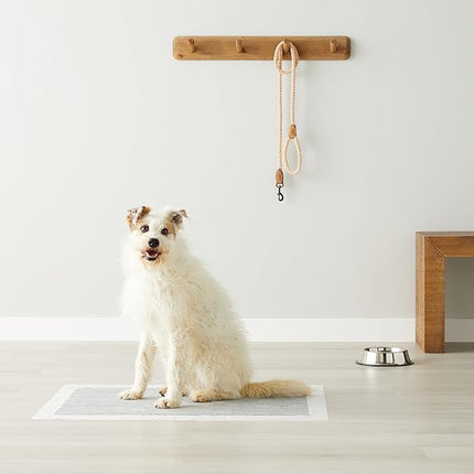 Amazon Basics Carbon Odor-Control Dog and Puppy Pee Pads, 5-Layer Leak-Proof Super Absorbent, Quick-Dry Surface, Potty Training, X-Large (28x34"), 50 Count, Gray