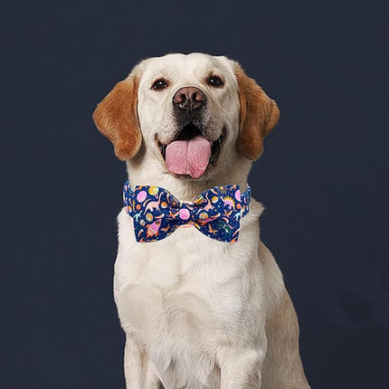 Lionheart glory Dog Bow Collar Dinosaurs Pattern Cute Collars for Medium Dogs,Soft Duty Adjustable Dog Collar with Bowtie Spring Summer Puppy Collars Bows Pet Gift