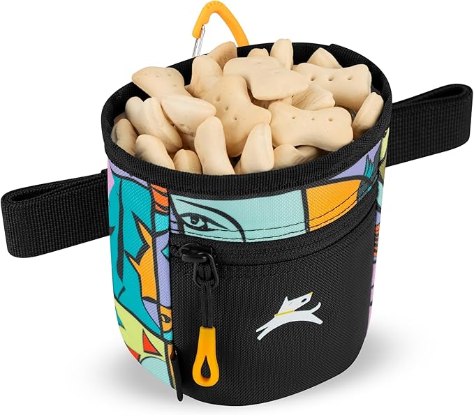 OllyDog Goodie Treat Bag, Dog Treat Pouch, Waist Belt Clip for Hands-Free Training, Magnetic Closure, Dog Training and Behavior Aids, Three Ways to Wear (Cloud9)