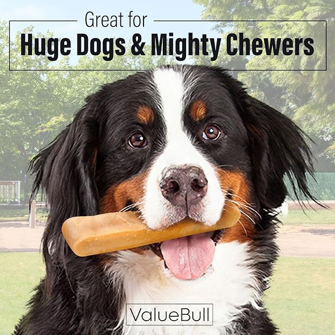 ValueBull Himalayan Yak Cheese Dog Chews, Extra Extra Large, 50 ct Wholesale Pack - Long Lasting for Aggressive Chewers, All Natural, Healthy & Safe, Low Odor Nepal Yak Milk Chews
