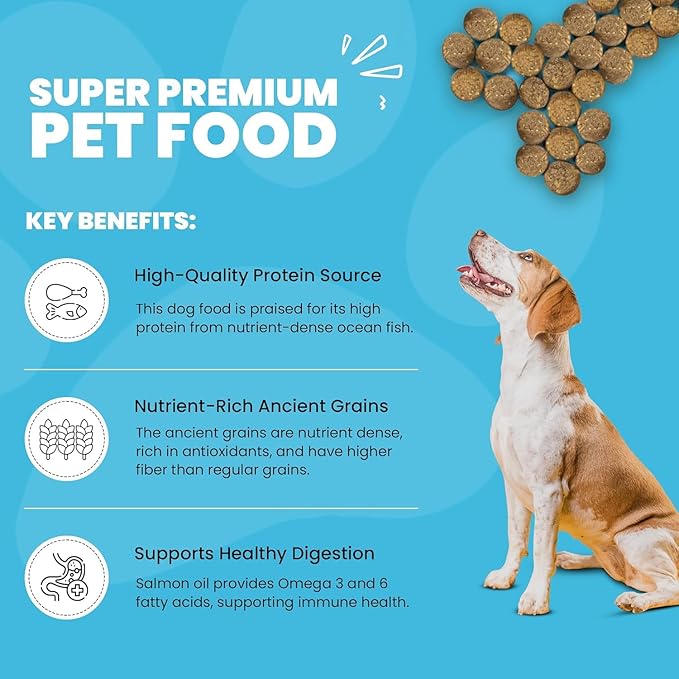 Muenster Ancient Grains Ocean Fish Dry Dog Food, 4lb - Gluten-Free, High Protein, Digestive Support