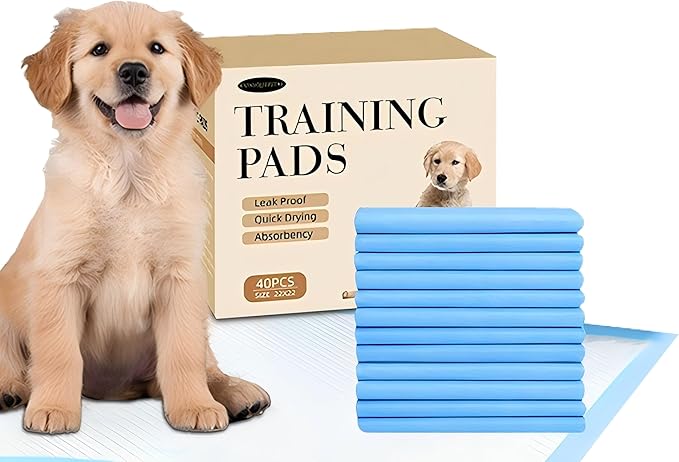 22x22 Dog Pee Pads 100 Count, Charcoal Puppy Pads, Super Absorbent Training Pads, 6-Layer Leak-Proof Puppy Training Pads for Dogs, Fast-Drying, Potty Training and Floor Protection