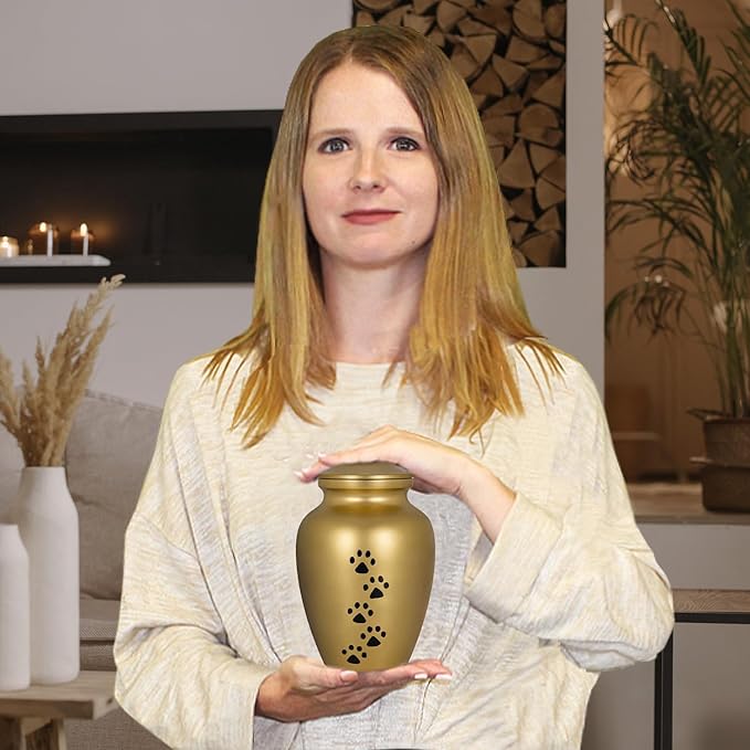 Trupoint Memorials Small Pet Urn for Dogs and Cats Ashes, Paws Print Gold Cremation Urns for Pets up to 17 lbs