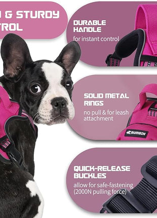 BUMBIN Dog Harness for Large Dogs, No Pull Adjustable No Choke Pet Vest with Dog Leash Fit Smart Reflective Pet Walking Harness for Training Easy Control Soft Handle Rose Red S