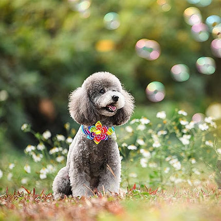 Lionheart glory Rainbow Dog Collar with Flower Colorful Summer Dog Flower Collar Heavy Duty Adjustable Pride Collars for Small Dogs Pet Gift Holiday