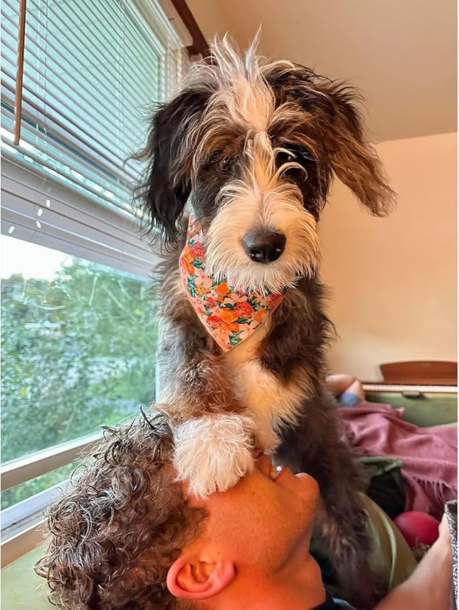 Lionheart glory Dog Bandana 1 Pack Washable Soft Cotton Flower Print Bibs Scarf, Adjustable Kerchief Square Dog Bandanas for Small Dogs