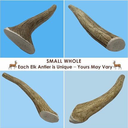 6-Pack Small Whole Elk Antler Dog Chews (5 to 7+ in) – Long Lasting Natural Dog Chew Bones for Small Dogs Under 20 lbs, Aggressive Chewers, Teeth Cleaning, No Rawhide