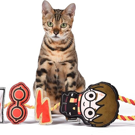 Harry Potter Cat Toy, Door Hanger with Catnip | Door Hanger Cat Toy with Harry Potter, Lightning Bolt, Glasses, and Hogwarts Invitation Plush with Catnip Components on Rope 22 Inch