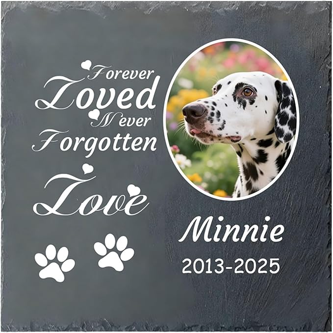 Dog Memorial Gifts for Loss of Dog, Personalized Pet Memorial Stone, Custom Dog Grave Marker with Name & Photo, Sympathy Gifts for Bereaved Pet Owners, Cemetery Decor (Style H)