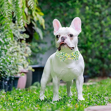 Lionheart glory Dog Bow Collar Green Cactus Print Collars for Small Dogs,Spring Summer Cute Dog Collar with Bowtie Pet Collars Bows Pet Gift