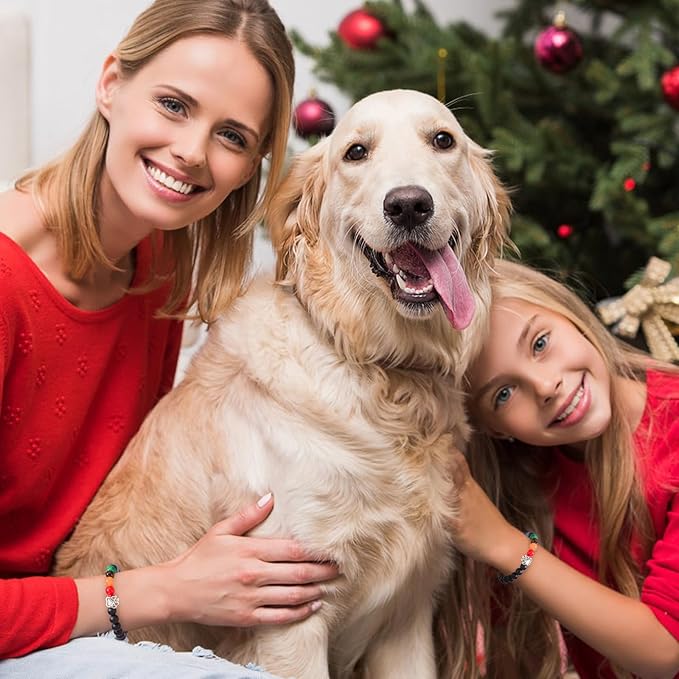 Pet Memorial Bracelet - Rainbow Bridge Memorial for Women & Men, Sympathy Gift for Loss of Dog or Cat