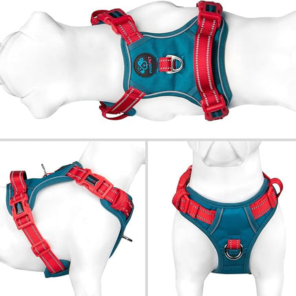 PHOEPET No Pull Dog Harness, Unique Colors Reflective Adjustable Dog Vest, with Soft Training Handle Metal Clips for Small Medium Large Dogs (Teal Base & Red Straps,S)