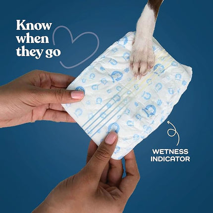 Comfortable Male Dog Diapers - 30-Pack Super Absorbent Disposable Male Dog Wraps- FlashDry Gel Technology, Wetness Indicator Doggie Diapers- Leakproof Belly Wraps for Incontinence, Excitable Urination