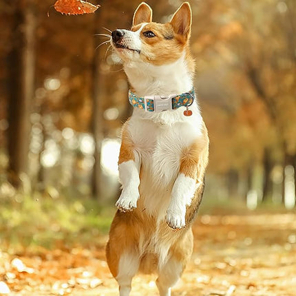 ARING PET Puppy Fall Dog Collar, Autumn Pumpkin Pet Collars for Small Medium Large Girl Boy Dogs Thanksgiving Halloween-S Size