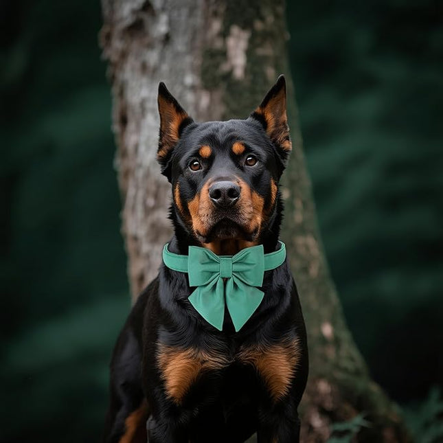 Maca Bates Jade Green Dog Collar with Cute Solid Sailor Bow Tie for Extra Large Girl Boy Dogs,Adjustbale Durable Breakaway Soft Collars with Bowtie for Female Male Puppy,Pet with Metal Buckle