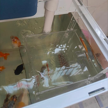 Acrylic Fish breeding Box, Acrylic Fish Isolation Box, Fish Separator for Aquarium, Hatchery Incubator with Suction Cups for Small Baby Fishes Shrimp Clownfish Guppy (5.9 * 5.9 * 5.9inch)