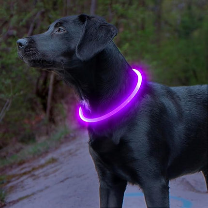 Light up Dog Collar, BSEEN USB Rechargeable Flash Dog Necklace Light, Pet Safety Collar Makes Your Beloved Dogs Be Seen at Night for Small Medium Large Dogs(Purple)