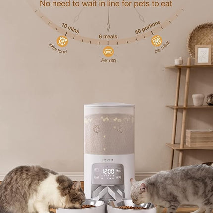 Automatic Cat Feeder for 2 Cats - Cat Food Dispenser with Double Bowls 6L, 10S Voice Recorder Programmable Timed Cat Feeder up to 6 Meals per Day
