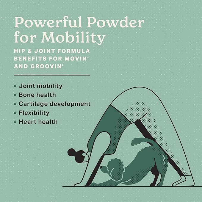 The Missing Link Hip & Joint 1 lb Powder Supplement + Honest to Goodness Blueberry Carrot Golden Years 8oz Dog Treats