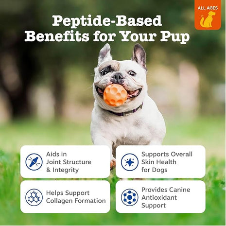 Zesty Paws Multi Collagen Soft Chews for Dogs - for Hip, Joint & Cartilage Support + Skin Health - with Collagen - Plus Eggshell Membrane, Vitamin C & Hyaluronic Acid - 90 Count
