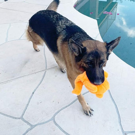 Jalousie 5 Pack 12'' Dog Toys Assortment - Plush Squeaky Toys for Medium to Large Breeds - Raccoon, Elk, Hippo, Fox, Sloth