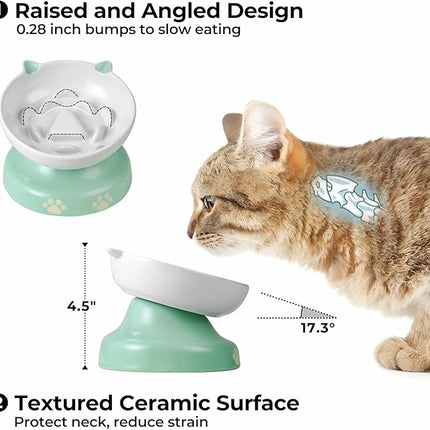 Y YHY Slow Feeder Cat Bowl, Ceramic Elevated Cat Bowl Tilted Design Slow Feeder for Dog and Cat for Dry and Wet Food, Green