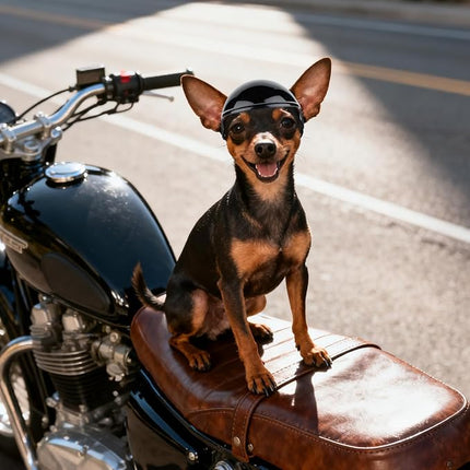 LESYPET Dog Helmet for Small Dogs, Puppy Motorcycle Helmet with Ear Hole Small Dog Hat with Adjustable Strap, Black X-Small