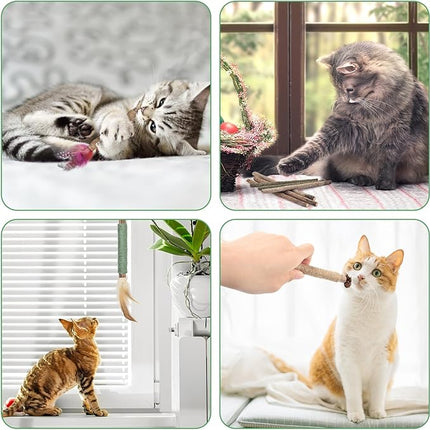 Bissap 16 PCS Silvervine Chew Sticks for Cats, Catnip Chew Sticks Cat Toys for Indoor Cat Kitten Teeth Grinding Interactive Feather Toys for Aggressive Chewers Dental Care
