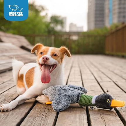 Best Pet Supplies Interactive Squeaky Dog Chew Toy, Ideal Dog Toys for Chewers, Small, Medium & Large Dogs, and Fetch Lovers - Mallard Duck Wing (Gray), Small