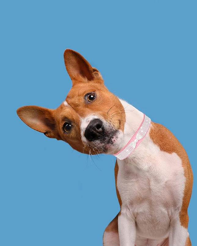 Dog Collar for Small Dogs, Adjustable Leather Suede Bling Dog Collars，Pink Dog Collar Cat Collar, Rhinestone Dog Collar (L, pink4)