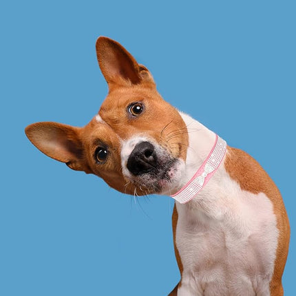 Dog Collar for Small Dogs, Adjustable Leather Suede Bling Dog Collars，Pink Dog Collar Cat Collar, Rhinestone Dog Collar (XS, pink4)