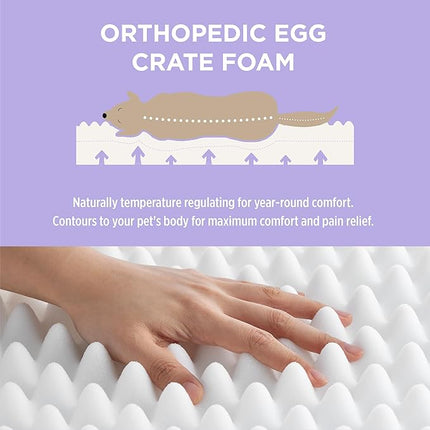 LE SURE Human Dog Bed for Adult - Calming Human Size Dog Bed with Egg Foam Supportive Mat and Storage Pocket, Cute Modern Pet Beds with Jacquard Shaggy Plush & Anti Slip Bottom 55x37x10, Green