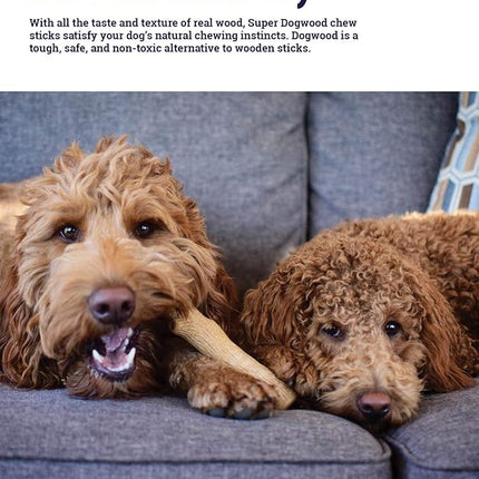 Petstages Outward Hound Super Dogwood Durable Dog Chew Toy, Small - Long Lasting Chew Sticks Made of Natural Wood - USA Made