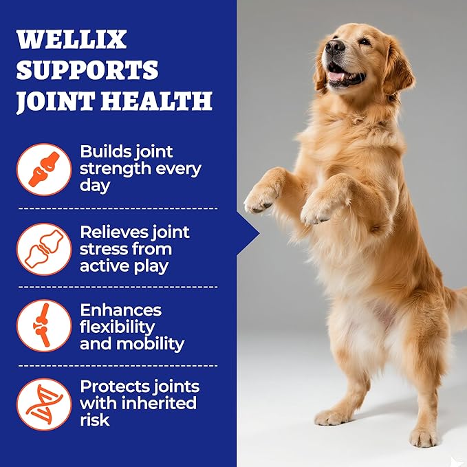 260 Bites Wellix Dog Hip and Joint Supplement Arthritis Pain Relief with Glucosamine Chondroitin MSM Functional Ingredients Joint Care Chews for Senior Dogs Antioxidant Supplements