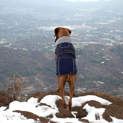 Lelepet Warm Dog Coat Waterproof Dog Jacket for Small Dogs Reflective Fleece Vest with Adjustable Buckle Hook & Loop Windproof Cold Weather Coats for Small Medium Large Dogs, Navy Blue, S