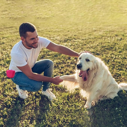 AUDWUD Silicone Dog Treat Pouch,With Dog Training Clicker,Clip on Portable Training Container,Convenient Magnetic Buckle Closing and Upgraded Waist Clip for Enhanced Stability