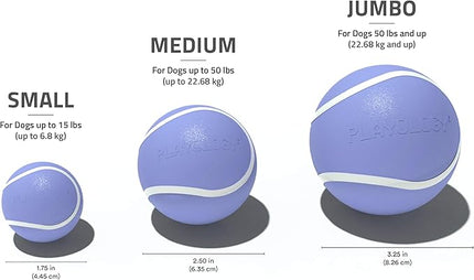 Playology Dog Toys | Squeaky Chew Ball - Bouncy Durable Floating Fetch Ball for Dogs | Jumbo Blueberry Scented Toy - Easy to Clean and Made from Non Toxic Materials