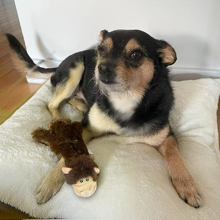 Best Pet Supplies Squeaky Dog Toys with Soft Durable Fabric for Small, Medium and Large Pets Interactive Toy for Indoor Play, Supports Active Biting and Play - Monkey, Large