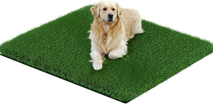 Grass Pad for Dogs 33 x 33 inches, Strong Absorbency Soft and Realistic Grass for Pets Potty Training, Easy to Clean, Indoor Outdoor Use (1 Pack)