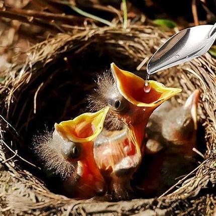 60ML Baby Bird Parrot Feeding Tubes, Liquid Medicine Feeder Push-Tube Pet Cat Dog Feeder with 2 Pcs Stainless Steel Metal Feeding Spoon